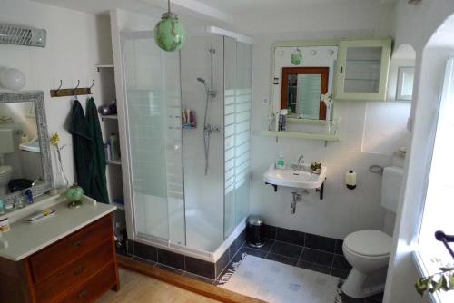 a bathroom with a shower and a toilet and a sink at Holiday Home Misir in Bol
