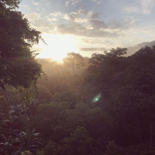 a misty forest with the sun shining through the trees at The Valley Tayrona hostel- A social jungle hostel in El Zaino