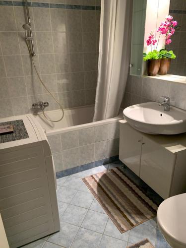 Kúpeľňa v ubytovaní Šarmantni apartman Malecka 2