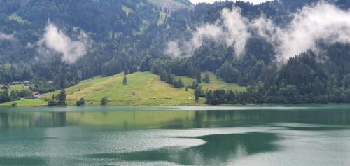 a large body of water with a mountain at 2 rooms Appartment "Home, Swiss Home" in Bilten