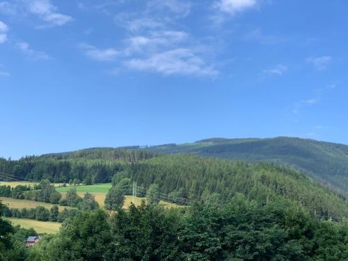 a view of a valley with trees and mountains at Apartmán s vyhlídkou in Horní Maršov