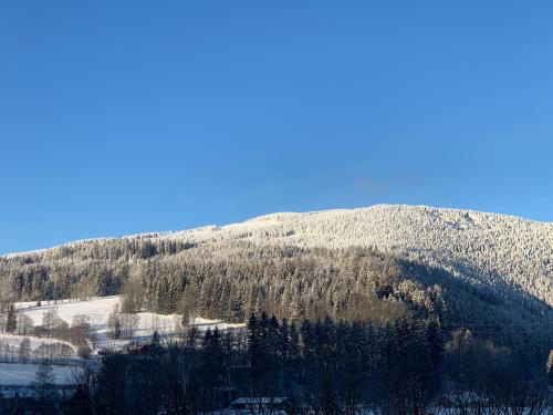 a mountain with trees and snow on it at Apartmán s vyhlídkou in Horní Maršov