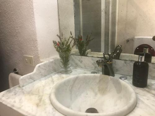 a white sink in a bathroom with flowers in a vase at Il Fiorino di Badia in Badia A Passignano