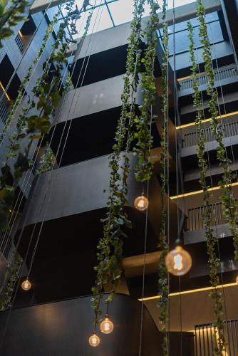 a bunch of plants hanging from a building with lights at FULTON Business Luxury HOTEL in Guadalajara