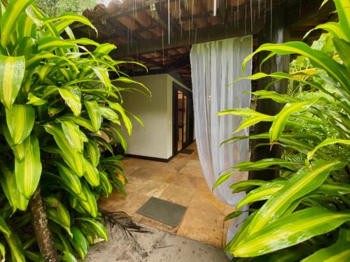 Ein Garten an der Unterkunft Mangueira Boutique Hotel Moreré