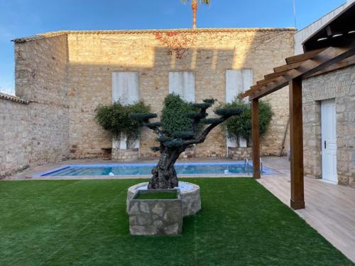 a bonsai tree in a yard in front of a building at HOTEL CASABLANCA BOUTIQUE in Linares