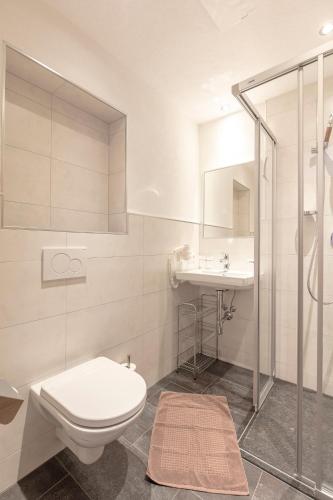 a bathroom with a toilet and a sink at Apart Felsenhof in Längenfeld