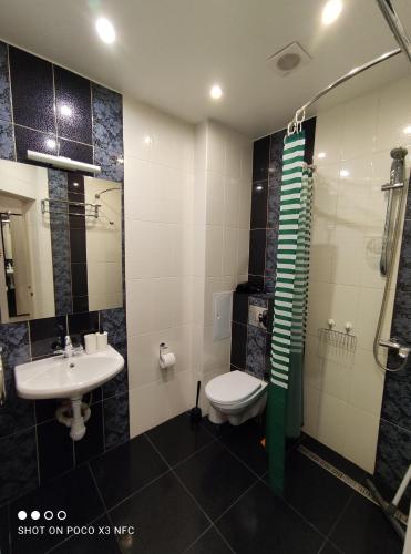 a bathroom with a toilet and a sink at Travel inn Kremlin in Velikiy Novgorod