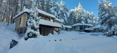 une maison recouverte de neige à côté des arbres dans l'établissement Villa Vanessa Koprivki Area, à Zar-Kalojan