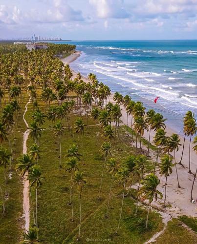 an aerial view of a beach with palm trees at Reserva do Paiva suites in Cabo de Santo Agostinho