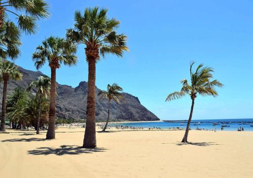 BuEnA ViBrA Tenerife Sur