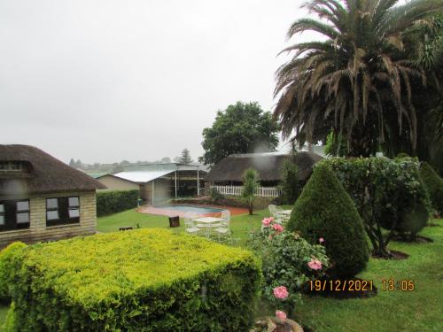a yard with a house and a palm tree at Aloes Lodge in Leribe