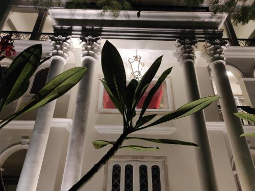 a plant in the middle of a building with columns at Dileep Kothi - A Royal Boutique Luxury Suites in Jaipur in Jaipur