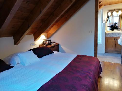 1 dormitorio con 1 cama grande en el ático en Buhardilla d'Esterri, en Esterri d'Àneu