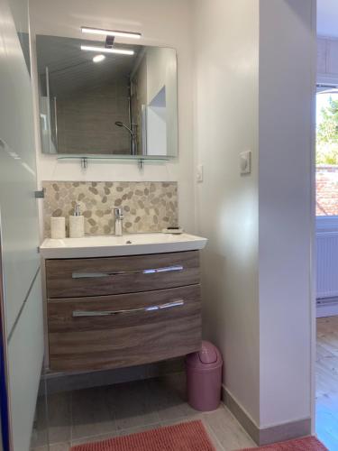 un bagno con lavandino e specchio di annexe des sables a Le Touquet-Paris-Plage