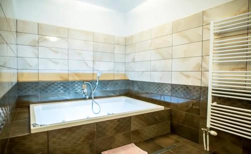 ein Bad mit einer Badewanne mit Dusche in der Unterkunft Styria hotel Chvalovice in Znojmo