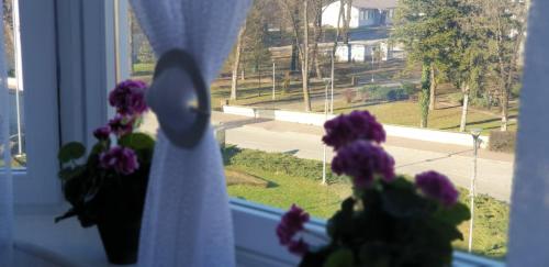 a potted plant sitting on a window sill with a curtain at Apartman Hana in Sanski most