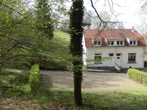 D'R Pletsch – Photos 3