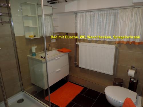 a bathroom with a shower and a toilet and a sink at DIE Ferienwohnung - Wittenberg an den Elbwiesen in Lutherstadt Wittenberg