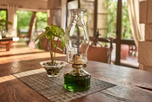 a vase and a potted plant on a table at Grand Kruger Lodge and Spa in Marloth Park