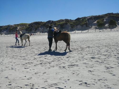 um grupo de pessoas andando a cavalo na praia em Intimi2 em Yzerfontein
