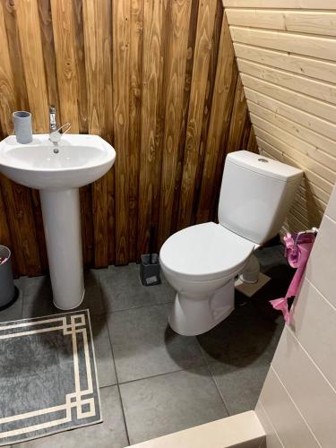 a bathroom with a toilet and a sink at VIP-Domyk in Rakhiv