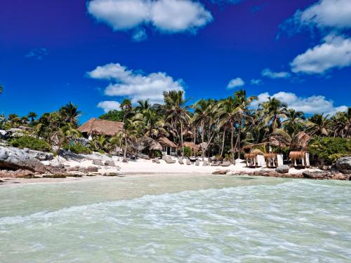 a beach with palm trees and chairs and the ocean at Diamante K - Inside Tulum National Park in Tulum