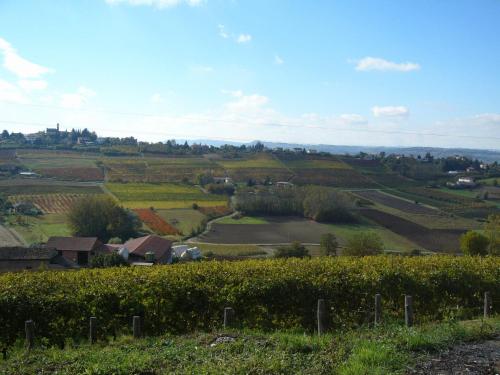 a view of a farm from a hill at Agriturismo Podere La Piazza in Costigliole dʼAsti