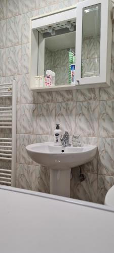 La salle de bains est pourvue d'un lavabo et d'un miroir. dans l'établissement Dino's spacious place, à Sarajevo
