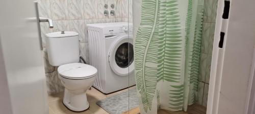 ein Badezimmer mit Toilette und Waschmaschine in der Unterkunft Dino's spacious place in Sarajevo