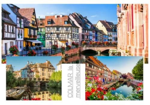 Peyerimhoff Colmar - 3 Chambres - 8 Pers - Clim