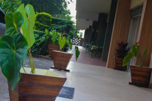a group of potted plants sitting inside of a building at Equator Hotel in Arusha