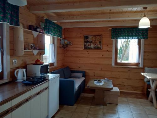 a kitchen and living room with a couch in a cabin at Domek Na kympkach in Istebna
