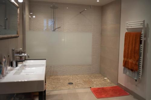 a bathroom with a shower and a white sink at Le prieuré de Sainte Vertu in Sainte-Vertu