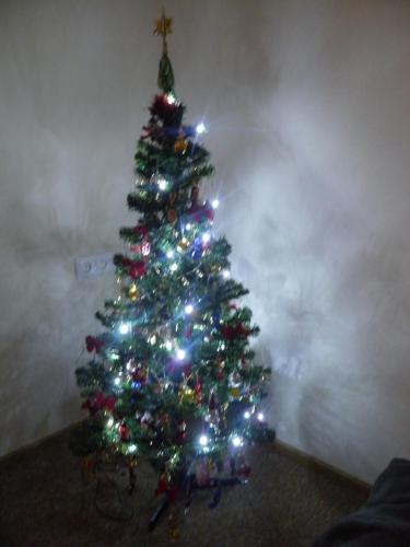 a christmas tree with lights in a room at Privat Kovacova in Žiar