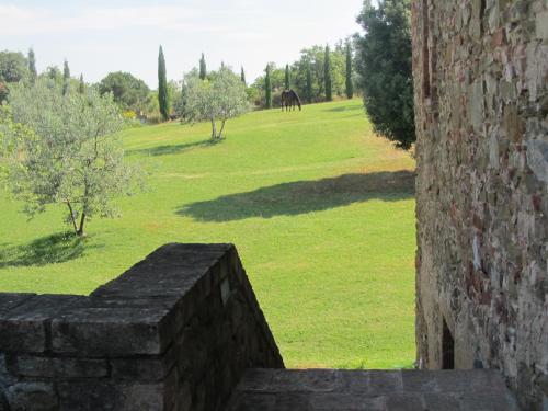 a view of a field with a horse in the distance at Podere Campovecchio in Rapale