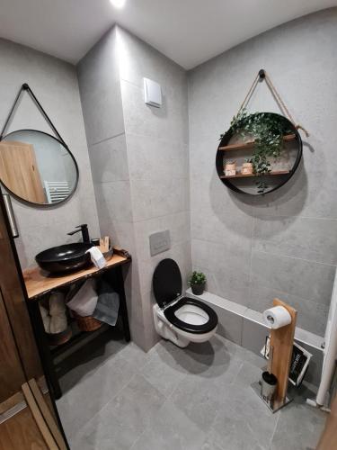 a bathroom with a toilet and a sink and a mirror at Mountain Paradise in Aparthotel Borovets Gardens in Borovets