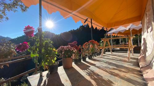 a tent with potted plants on a balcony at Ananta Prana in Mussoorie
