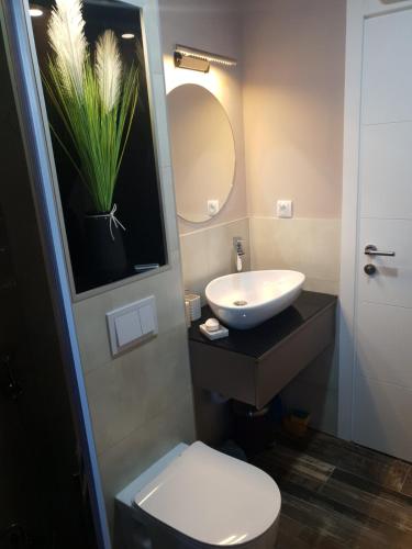 a bathroom with a sink and a toilet and a mirror at Villa Arkado in Sarajevo