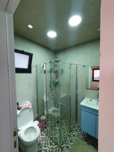 a bathroom with a shower and a toilet and a sink at קשת לכנרת-יחידת הקרקע in Keshet