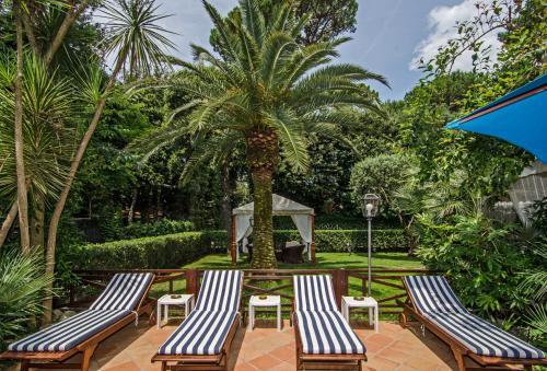 a group of three chairs and a palm tree at Hotel Kyrton in Forte dei Marmi