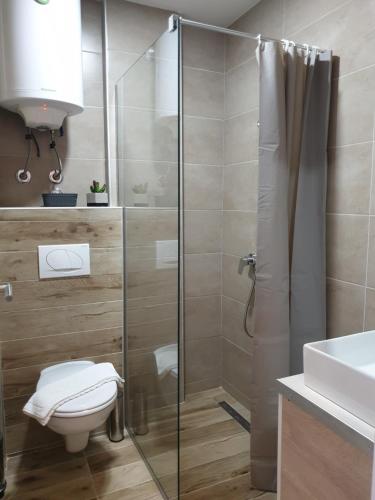 Vonios kambarys apgyvendinimo įstaigoje Milmari Lux Apartment N74 Kopaonik