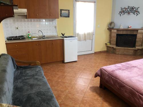Kuchyň nebo kuchyňský kout v ubytování Alexandros Guesthouse
