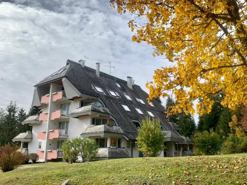 a large building with a gambrel roof at FeWo Fuchs Saig in Lenzkirch