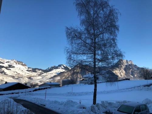 a tree in the snow next to a road at Ferienwohnung nähe Flumserberg Ski Wandergebiet in Filzbach