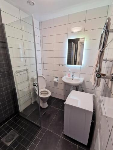 Bany a 1 room apartment centrally located in Malmö - Skvadronsgatan 31 1503