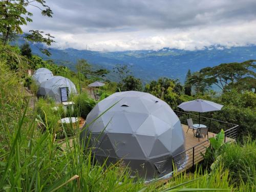 a dome tent in the grass with a view at Solaris Glamping Exclusive in Tena