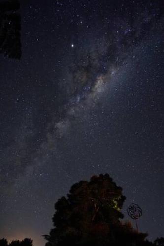a starry night with a tree and the milky way at The Dome Waikino in Waikino