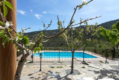Výhled na bazén z ubytování Reul Alto Cortijos Rurales nebo okolí