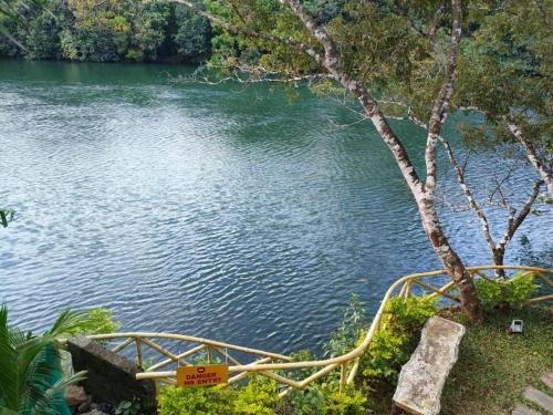 a body of water with a wooden bridge next to a tree at Thenmala Hormuz Inn in Kolattupuzha